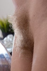 Волосатая киска фото